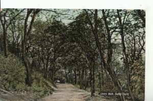 Staffordshire Postcard - Lovers Walk - Dudley Castle - Ref 10867A