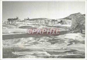 Postcard Modern Lappi Lapland Suomi Finland Rennes