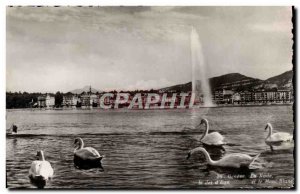 Modern Postcard The Geneva harbor The jet & # 39eau and Mount White Swans