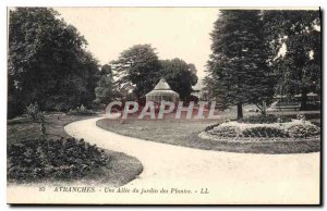 Old Postcard Avranches A Allee du Jardin des Plantes