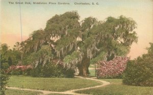 Charleston South Carolina Great Oak Middleton Gardens 1920s Postcard 21-6456