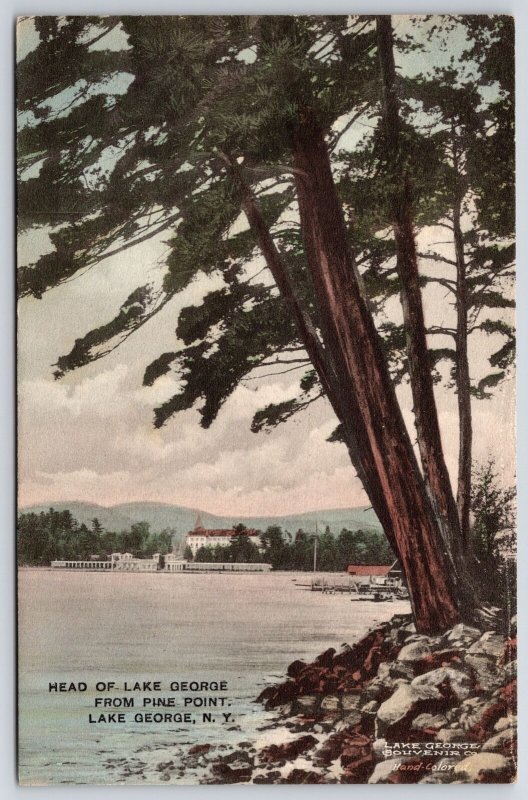 Head Of Lake George From Pine Point New York NY House In The Distance Postcard