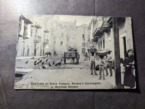 Mint Mexico Yellow Fever PPC Postcard Zapilotes Black Vulture Mexican Street