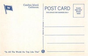 Avalon Bay, Catalina Island, S.S. Catalina, California ca 1920s Vintage Postcard