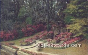 Bellingrath Gardens - Mobile, Alabama AL