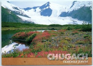 Postcard - Dwarf Fireweed/River Beauty - Chugach National Forest, Alaska