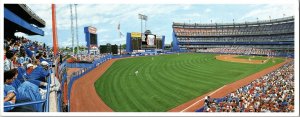 Left Field Corner Andy Jurinko Panoramic Postcard Shea Stadium Mets KN1
