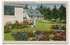 Candle Beam Shop Garden Christmas Cove Maine linen postcard