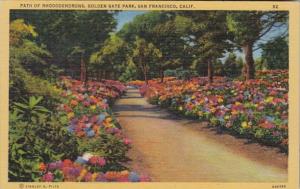 California San Francisco Path Of Rhododendrons Golden Gate Park