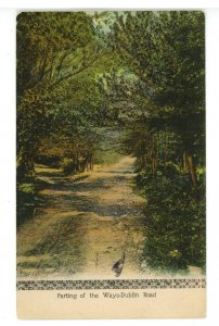 NH - Jaffrey. Parting of the Ways, Dublin Road  ca 1905