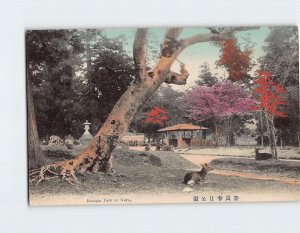 Postcard Kasuga Park at Nara Japan