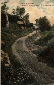 Windham New York NY Catskill Mountains Mount Pisgah Road c1910 Postcard