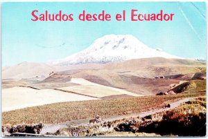 VINTAGE POSTCARD CONTINENTAL SIZE THE CHIMBORAZO SULTAN OF ADEN ECUADOR (CREASE)