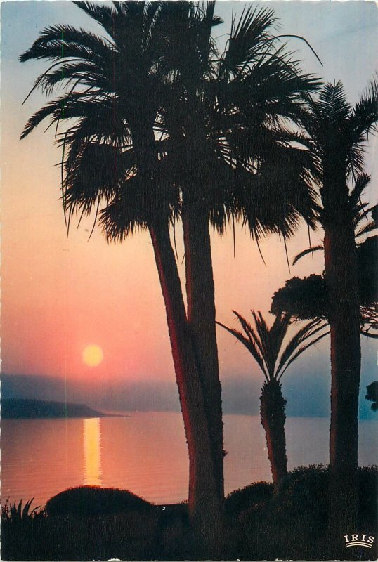 Postcard Cote d'Azur  scenic sunset view palm trees sea panorama