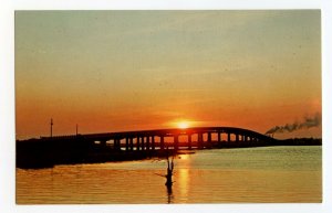 Postcard New Winyah Bay Bridges Georgetown South Carolina Standard View Card