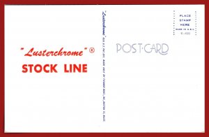 Ducks On Peaceful Pond - [MX-1006]