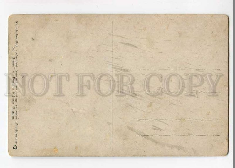 3056587 Dressed PIG smoking Pipe Vintage PHOTO Comic PC