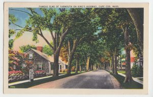 P2637 vintage postcard famous elms yarmouth & kings hwy cape cod mass used