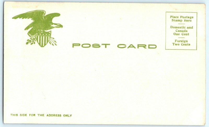 c1900s New York City, St Patrick's Cathedral Postcard Catholic Church Vtg A12
