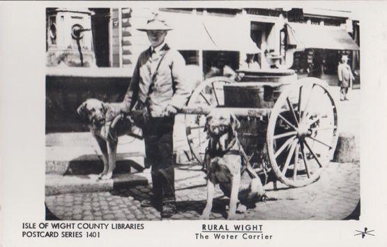 Water Carrier Isle Of Wight Postcard