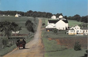 US11 USA Ohio work horses Holmes County Ohio Amish farms 1993