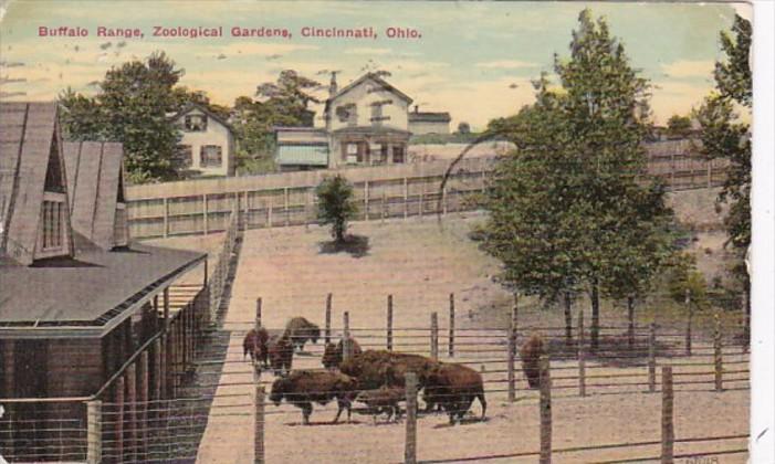 Ohio Cincinnati Buffalo Range Zoological Gardens 1911