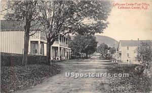 Callicoon Center Post Office Callicoon Center NY 1914