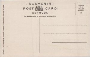 Bermuda Waves At Hungry Bay Vintage Postcard C279