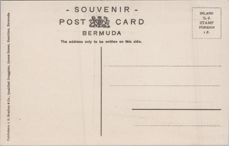 Bermuda Waves At Hungry Bay Vintage Postcard C279