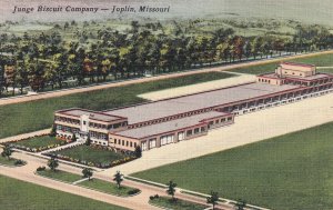 Junge Biscuit Company Joplin Missouri MO Postcard N29