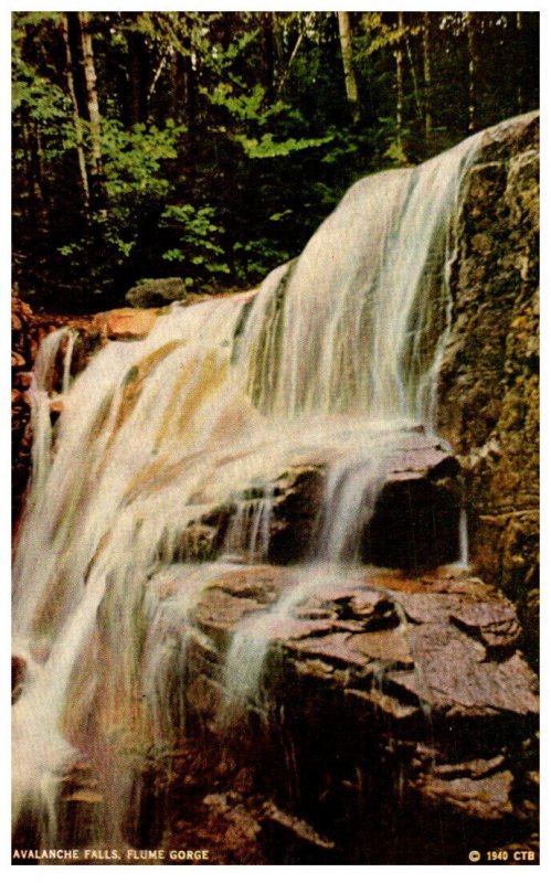 New Hampshire Franconia Notch Avalance Falls, Flume George