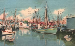 Vintage Postcard 1957 Fishing Boats Port Gloucester Massachusetts MA Curhan Pub.
