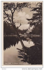 RP; Gr. Arbersee (932 m.) mit Seehaus, Bayr, Wald, Hesse, Germany, 10-20s