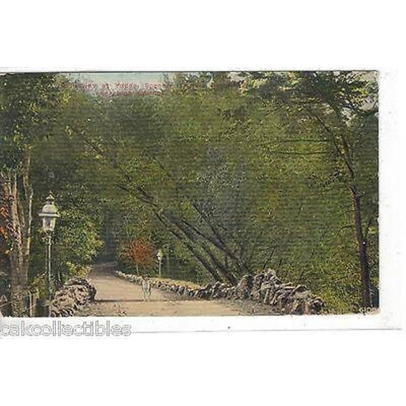 Causeway at Yaddo,Spencer Trask's Residence-Saratoga Springs,New York 1911