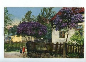 241155 GERMANY Lower Saxony Vintage Photochromie postcard