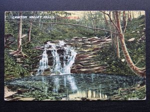 USA Newport Rhodes Island LAWTON VALLEY FALLS c1912 Postcard