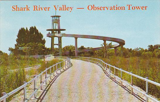 Shark River Valley Observation Tower Everglades National Park Florida