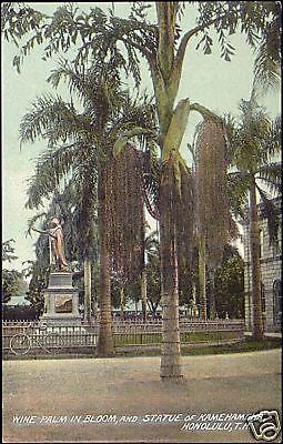 hawaii, HONOLULU, Wine Palm in Bloom, Statue Kamehameha