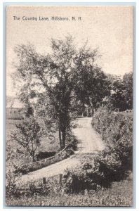 c1910's The Country Lane Hillsboro New Hampshire NH Vintage Antique Postcard 