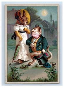 1880s Victorian Trade Card Anthropomorphic Cat & Rabbit Couple Night Moon #2 P84