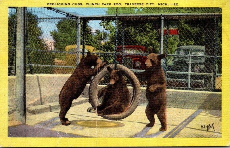 Michigan Traverse City Clinch Park Zoo Frolicking Bear Cubs 1949