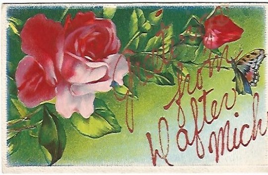 Greetings from Dafter Michigan Pink Roses with Butterfly Vintage Postcard