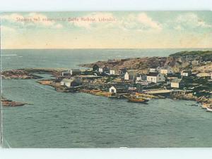 Divided-Back HARBOR SCENE Labrador Newfoundland NL hp7897