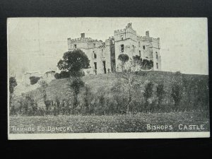 Ireland Donegal RAPHOE Bishop's Palace / Castle c1905 Postcard