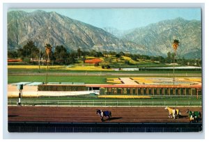 Vintage Santa Anita Horse Race Track California Postcard F147E