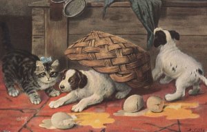 Cats Dogs Puppies Breaking Farm Eggs Rare Tucks Oilette Postcard