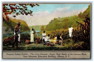 c1940's Iroqouis Indian Exhibit The Corn Harvest Albany New York NY Postcard