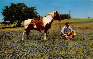 Texas Cowboy - Cowboys, Texas TX  