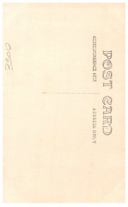 Geisha Child Girl serving Tea, RPPC