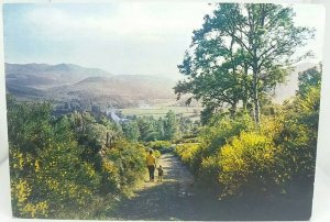 Vintage Postcard A Country Lane in the Beautiful Dee Valley Near Balmoral c1970